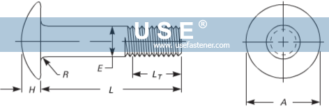 ASME B18.5 Round Head Bolts